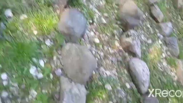 Делаю обзор Shaman Festival, стал настоящим шаманом 🧙, монахом 🧘 и индейцем 🇮🇳! смотреть онлайн