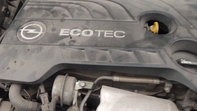 Инсигния - Мембрана КВКГ смотреть онлайн