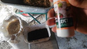 Проверенное средство от пухопероедов, вшей и клещей у кур.Обработка курятника