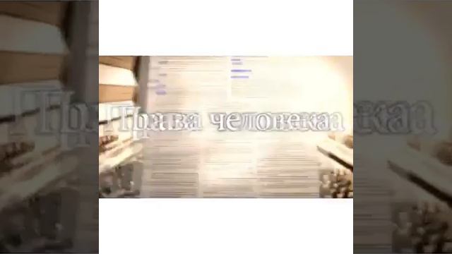 Понятие и  основные виды прав человека