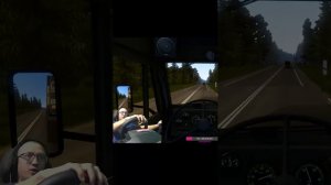Euro Truck Simulator 2 ★ Не пролетел)) ★ #shorts