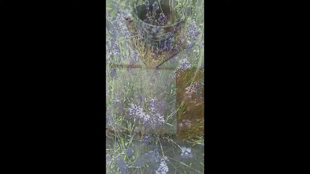 Утро начинается с любви смотреть онлайн