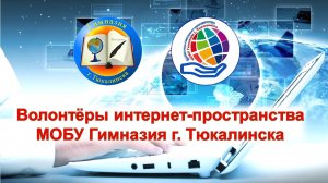 Волонтёры интернет-пространства