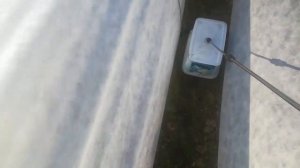 Гербицид по клубнике