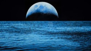 Виктор Зинчук   Лунная соната Бетховена  1080p