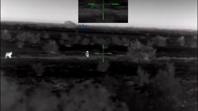 Охота на хищника в Дагестане #Охота смотреть онлайн