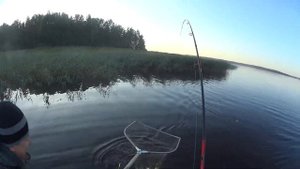 Рыбалка на Вуоксе | пос. Шлюз Гремучий