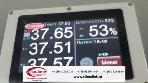 Инкубация яиц в инкубаторе Стимул ИП 8М1