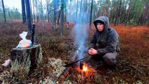 Ходовая охота на боровую дичь с КФЛ. Добыл птицу. Осень 2023.