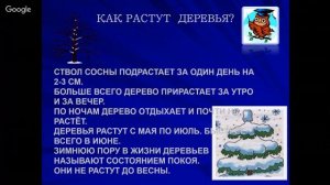 Окружающий мир 3 класс 16-17 неделя Зимние изменения в жизни растений и животных