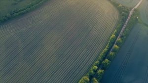 Первая осенняя охота с собакой. Русский Охотничий Спаниель - первополье. Будущий ушастый охотник.