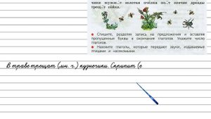 Упражнение 191 - Русский язык 3 класс (Канакина, Горецкий) Часть 2