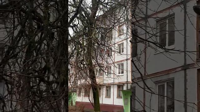 Купить квартиру / Брянск / Продать квартиру/ Олеся МАРТИНович/ МАРТИН/