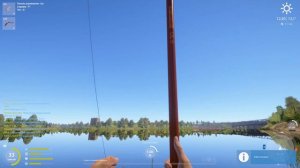 Русская рыбалка 4(рр4/rf4) - река Волхов. Ряпушка.