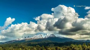 " Этот день, чудесный день . . !   / гр. Корни