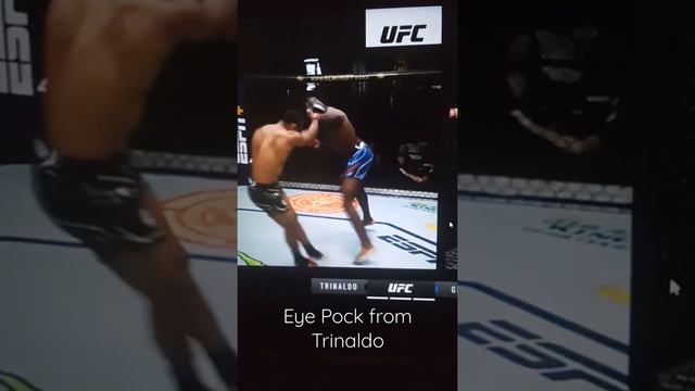 TRINALDO V GRANT KO EYEPOCK!! UFC