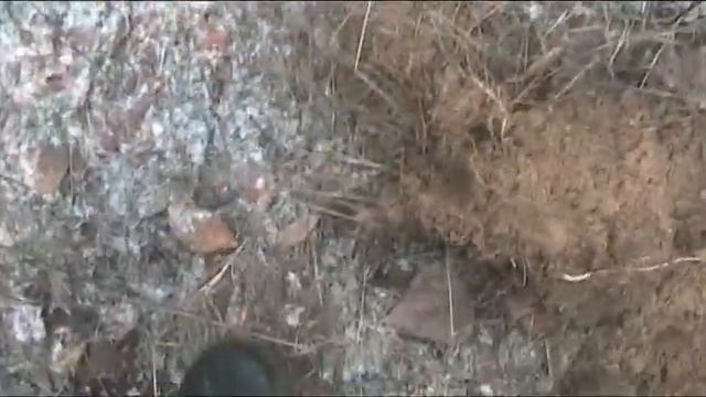 Коп на пляже в Старобельске