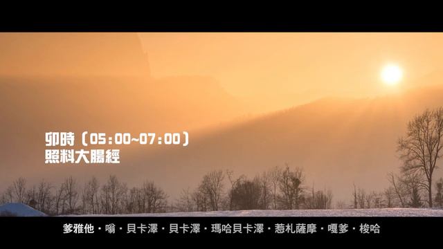 藥師琉璃光如來心咒（21次版）Bhaiṣajyaguru/ Medicine Buddha Mantra (21 times)｜佛曲｜雨揚老師 смотреть онлайн