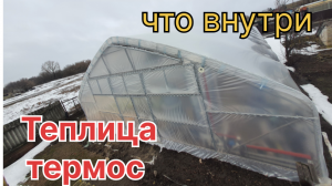 Краткий обзор нашей теплицы