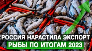 Россия нарастила экспорт рыбы по итогам 2023