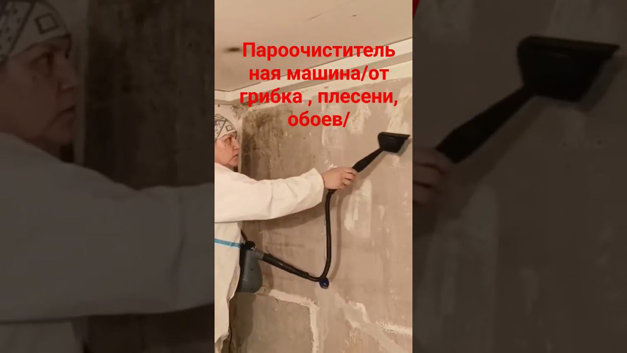 Пароочититель от черной плесени #антисептик #малярныеработы #пароочиститель