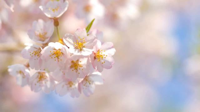 Куда ты опять пропала??? смотреть онлайн