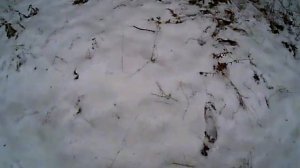 Лабаз самолаз после доработки