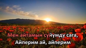 Б. Борбиев. Кызыгамын сага