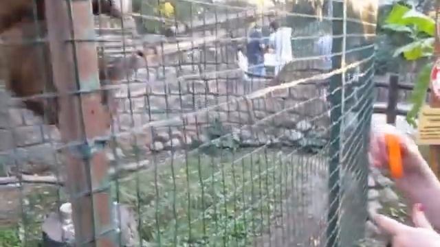 Был твой телефон , стал мой телефон. смотреть онлайн