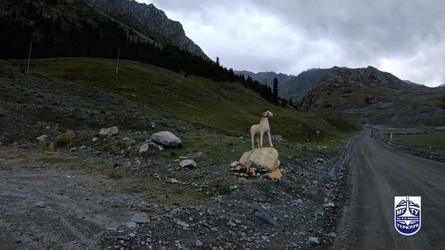 Подъём по ущелью р. Барскоон Киргизия Тянь-Шань 2022 г. |  Barskoon Gorge Kyrgyzstan Tien-Shan 2022