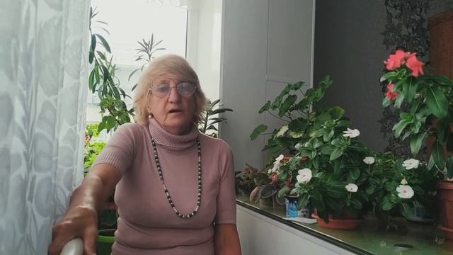 Как сохранить комнатную азалию в домашних условиях. смотреть онлайн