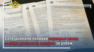 Ирина Волк: Сотрудниками полиции перекрыт канал вывода денежных средств за рубеж