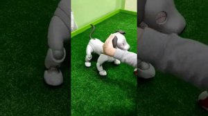 Робот собака в робопарке - Робот собака в робопарке