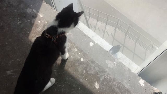 Ошо Откуда берется беспокойство