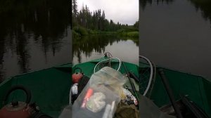 Болотоход из Тимашевска на реке в Коми.