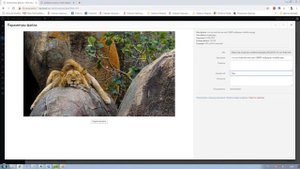 Как работать с библиотекой файлов в Wordpress / Урок #7