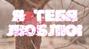 Я тебя люблю.  Дмитрий Маликов