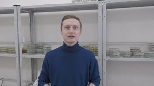 ТРИХОДЕРМА из леса: есть ли польза? | Эффективна ли триходерма из трутовика для защиты растений?