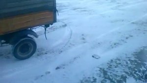 Муравей двигатель с планеты