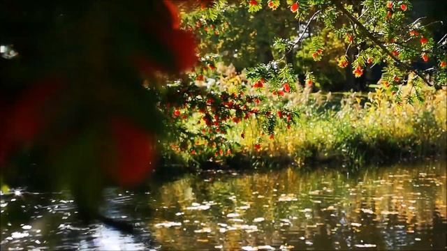 Германия, Потсдам, Сан Суси (sans souci ). смотреть онлайн