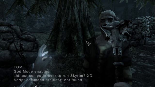 worst computer to ever play skyrim?