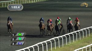 16-я Скачка Приз Федерации коневодства и конного спорта РТ (2гр). Казанский ипподром. 30.08.2023