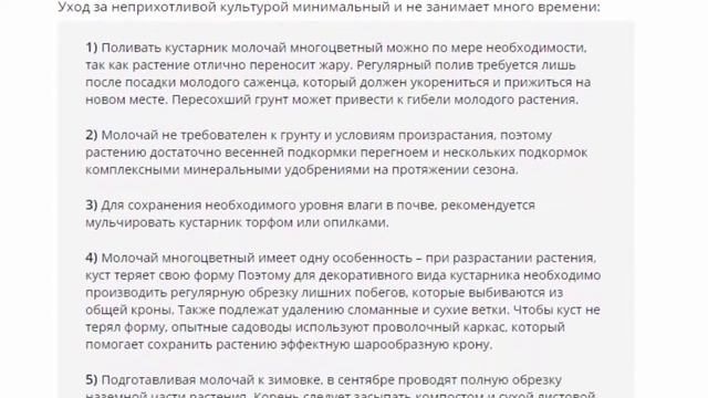 Молочай многоцветный, посадка и уход, посадка и уход