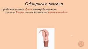 Гинекология. Аномалии развития матки. Синдром МРКХ.