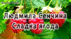 Людмила Сенчина – Сладка ягода, 1980 год