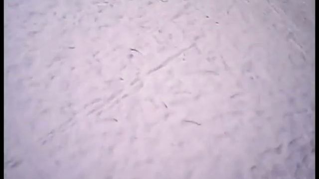 Видео с коптера 11 школа смотреть онлайн