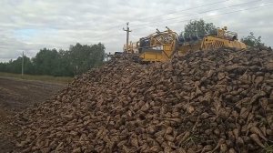 Уборка сахарной свеклы 2022!!! Комбайн ROPA и HOLMER. Настоящая мощь сельского хозяйства!