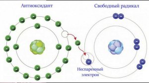 Оксидативный стресс|| Окислительный стресс|| Антиоксиданты