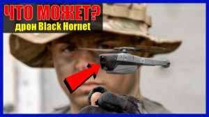 ДРОН BLACK HORNET: что может самый маленький военный беспилотник?