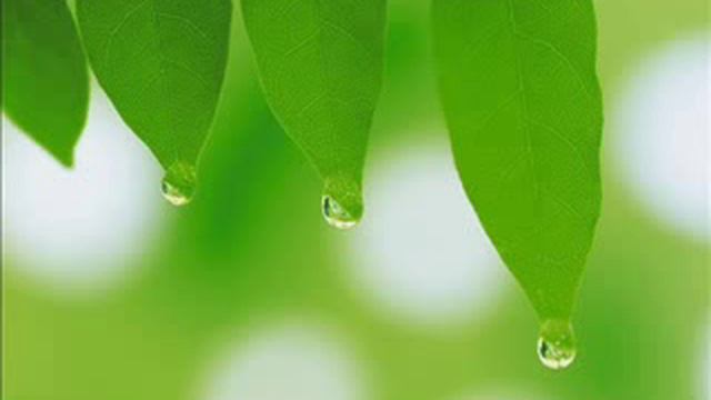 Дозволенное-халяль и запретное-харам 3/3 смотреть онлайн